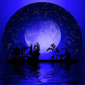 Trinh Pham Photo 16 Trinh Pham Photo 16