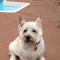 Vickie Burrow Photo 5