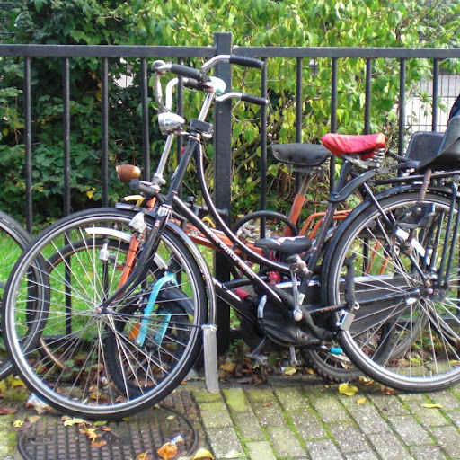 Anna Fulcher Photo 3