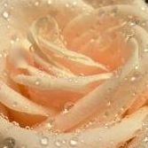 Sana Ahmed Photo 11