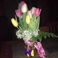 Connie Bergman Photo 7