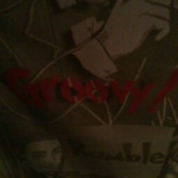 David Baier Photo 39