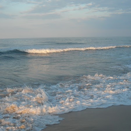 Timothy Howard Photo 17