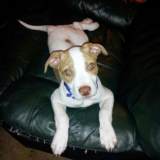 Angela Conrad Photo 18