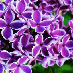 Angela Hale Photo 31