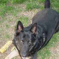 Anthony Roy Photo 20