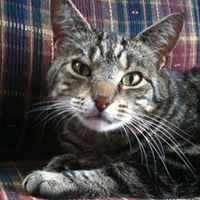 Timothy Prater Photo 12
