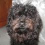 Paula Barron Photo 27