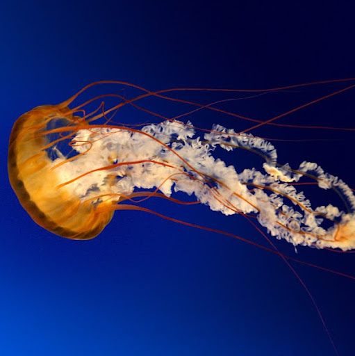 Kelly Brewer Photo 21