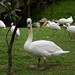 Kathleen Swan Photo 37