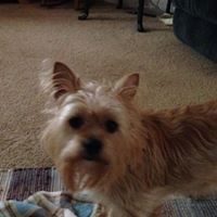 Faye Caldwell Photo 20