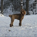 Aimee Barney Photo 10