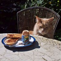 Ruth Cooke Photo 11 Ruth Cooke Photo 11