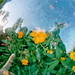 Tsai Chen Photo 20