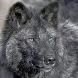 Michelle Yoder Photo 9