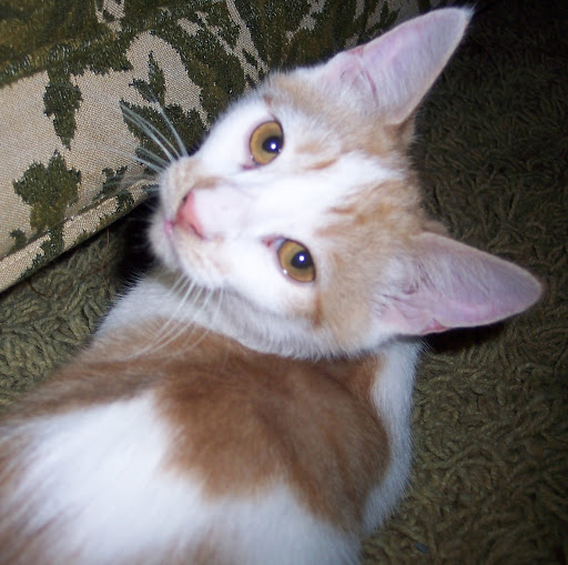Charlie Reese Photo 17