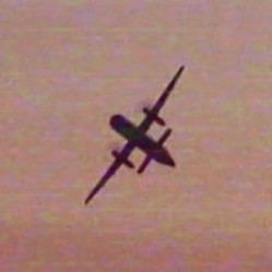 Joshua Shields Photo 8