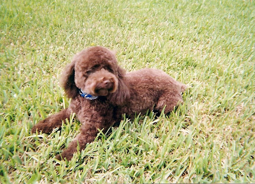 Cindy Rayburn Photo 15