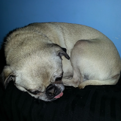 Stephanie Gavin Photo 6