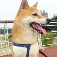 Tina Cheng Photo 13