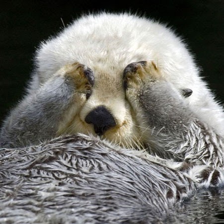 Virginia Russell Photo 35