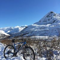 Joseph Metzger Photo 14