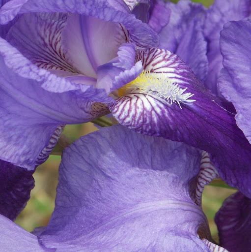 Michelle Knepp Photo 4