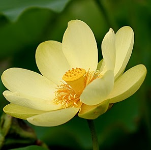 Binh Huynh Photo 1