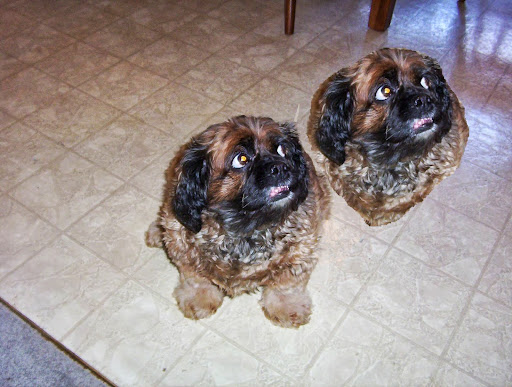 Margaret Brewer Photo 16