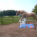 Renee Wilkerson Photo 24