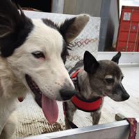 Robyn Mcmillan Photo 18