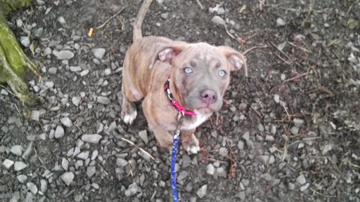 Nancy Clouse Photo 5