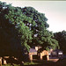 James Warrender Photo 11