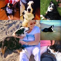 Julia Elliot Photo 14