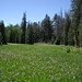 Mark Kerns Photo 14
