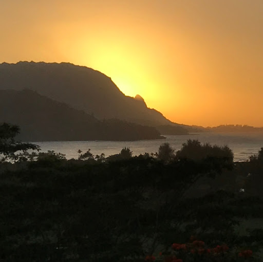 Rebecca Farrell Photo 25