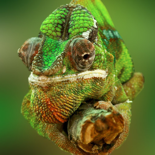 Kenneth May Photo 11 Kenneth May Photo 11