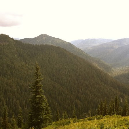 Caroline Sullivan Photo 42