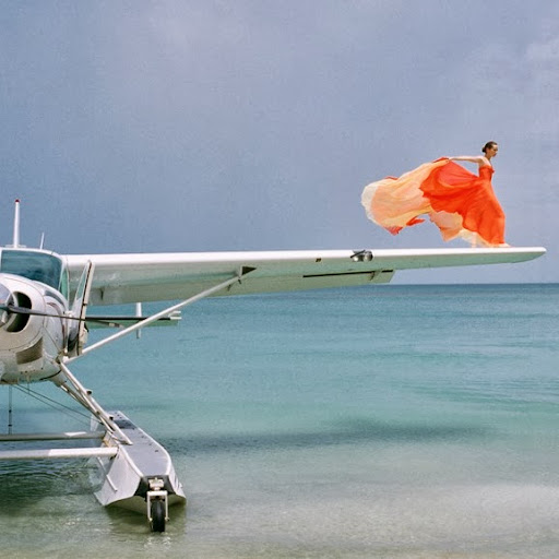 Julie Powell Photo 23