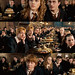 Fred Potter Photo 16
