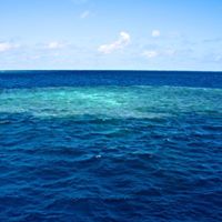 Mathieu Johnson Photo 14