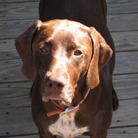 David Mallon Photo 37