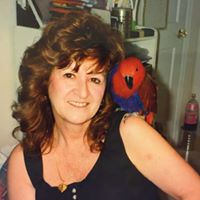 Melinda Bentley Photo 9
