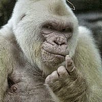 Robert Akers Photo 38