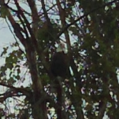 Jeff Passmore Photo 10