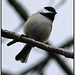 Lynn Mcalister Photo 15