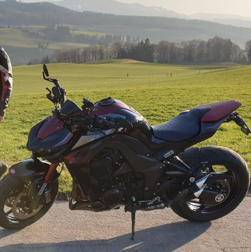 Sylvia Meyer Photo 13