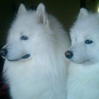 Debra Mackenzie Photo 11