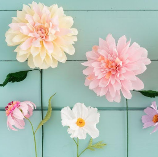 Robyn Erickson Photo 2