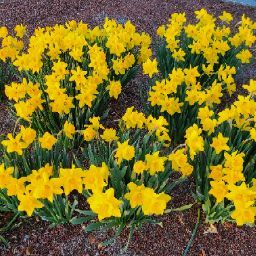 Paula George Photo 26